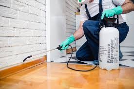 Best Fumigation Services  in Trabuco Nyon, CA